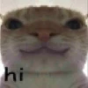 Cats 25