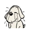 Cat and Dog 10