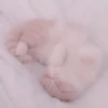 cats 27