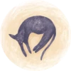 Cats in Circle 17