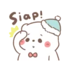 bear please 23
