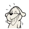 Cat and Dog 11