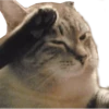 Caters Gonna Cate 22