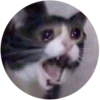 Lol cats 14