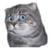 Caters Gonna Cate 23