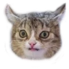 Caters Gonna Cate 24