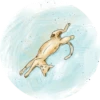 Cats in Circle 18