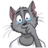 CatStepan 27