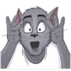 CatStepan 28