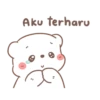 bear please 24