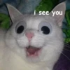 i see you