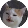 Lol cats 15