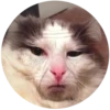 Lol cats 16