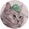 Lol cats 17