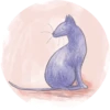 Cats in Circle 20