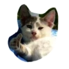 Caters Gonna Cate 30