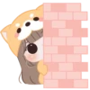 baby-meow 29