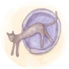 Cats in Circle 21
