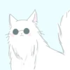 [Cat kaisen 2] ‍ ️ 6