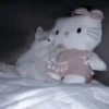 Cats 5