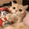 ♡Cats Cute♡ 6