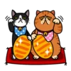 fun cat 7
