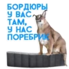 catspb 7