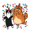 fun cat 8