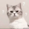 ?
?