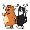 fun cat 11