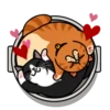 fun cat 12