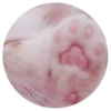 Nice Cats 8