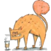 CoffeeCat 8