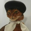 cats 8