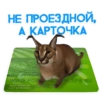 catspb 9