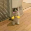 148