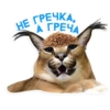 catspb 10