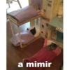 cats 9