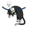 fun cat 15