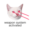 MEOW ‧₊˚ 5