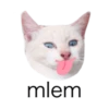 MEOW ‧₊˚ 6