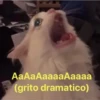 cats 13