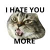 MEOW ‧₊˚ 7