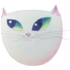 Cats 10