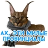 catspb 13