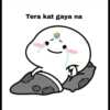 Tera kat gaya na