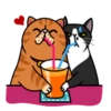fun cat 18