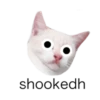 MEOW ‧₊˚ 8