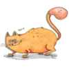 CoffeeCat 14