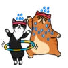 fun cat 19